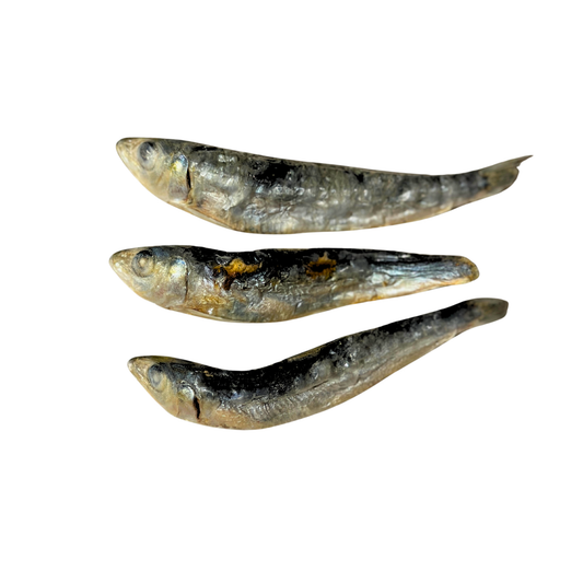 Whole Sardines