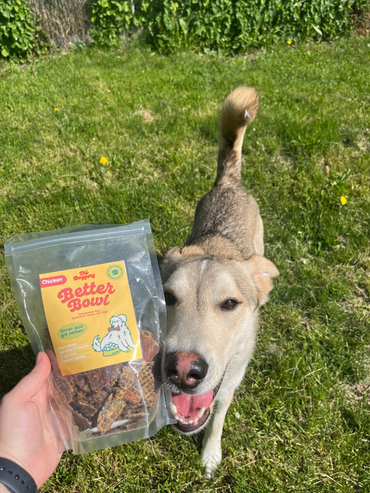 Better Bowl Chicken Dog Food Topper