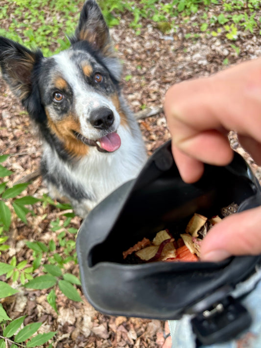 Silicone Treat Pouch