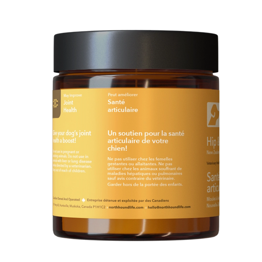 Hip & Joint Health | Supplements for Dogs