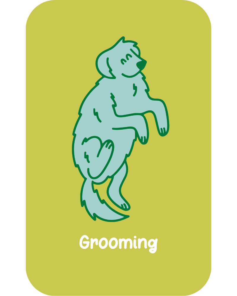 Grooming
