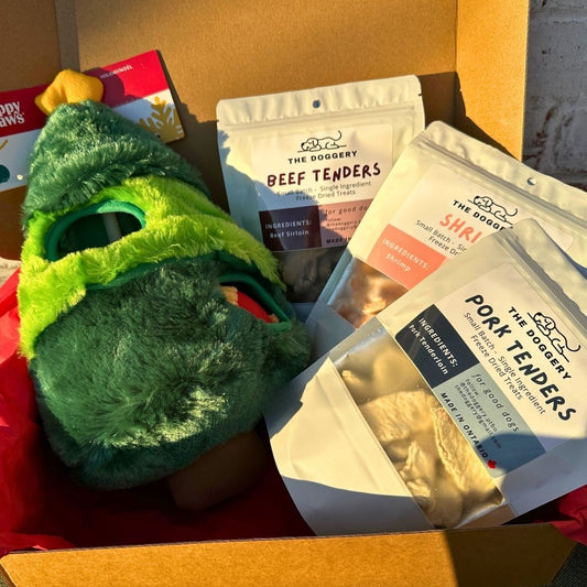 Holiday Dog Gift Box