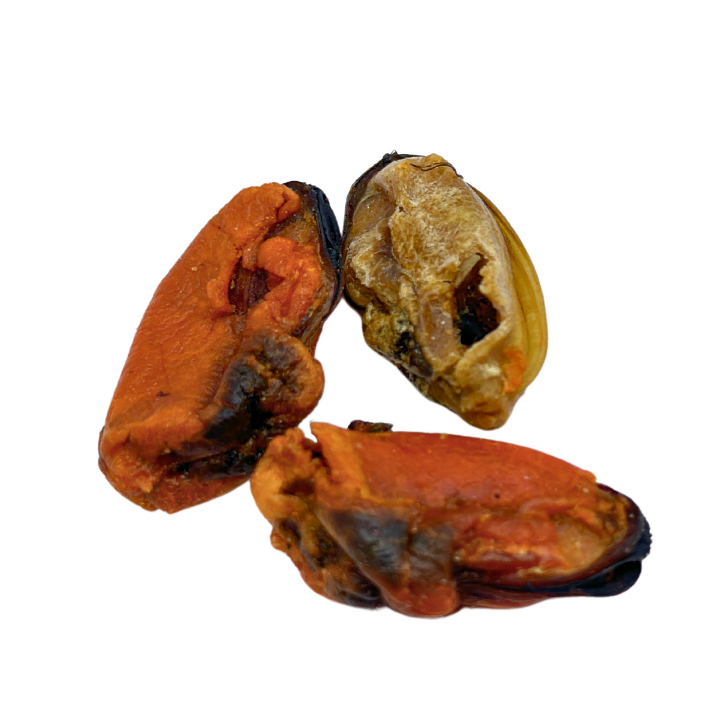 Mussel Meat Food Supplement for Dogs