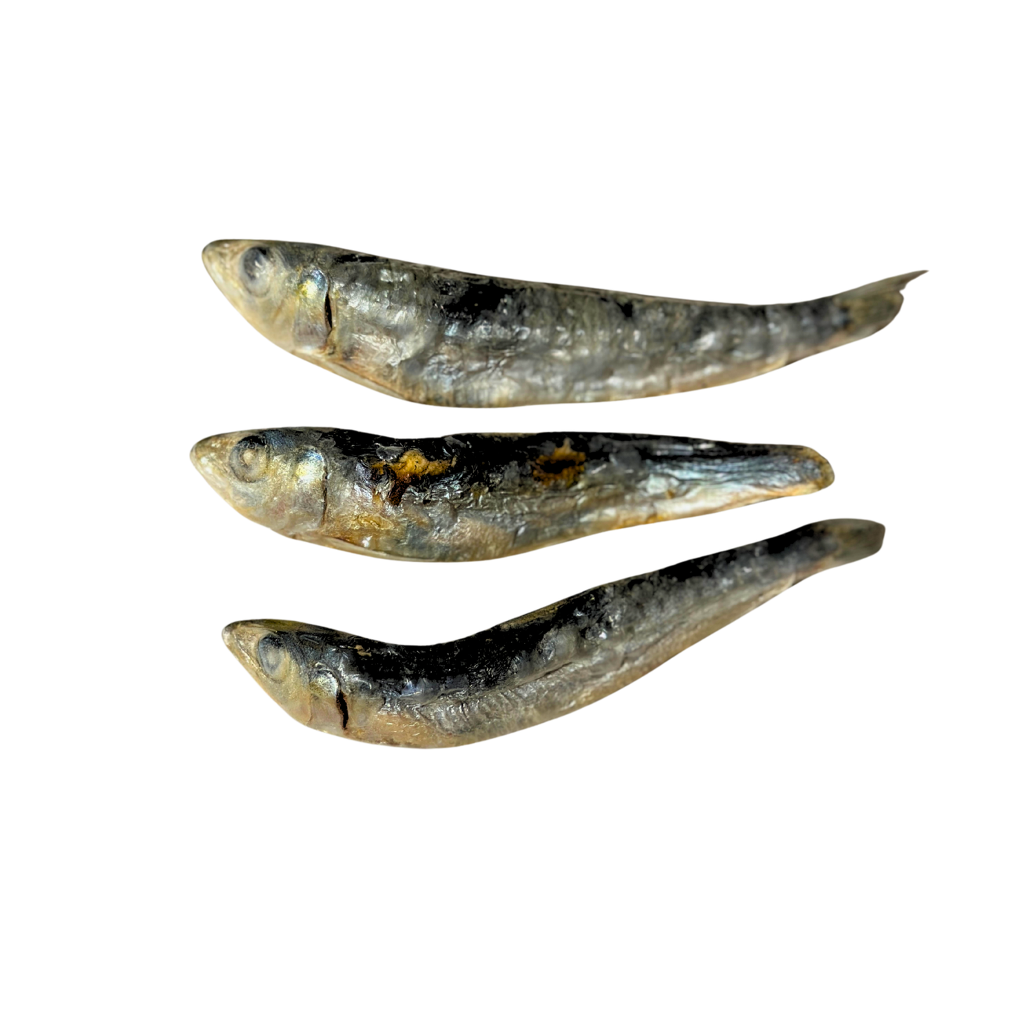Whole Sardines