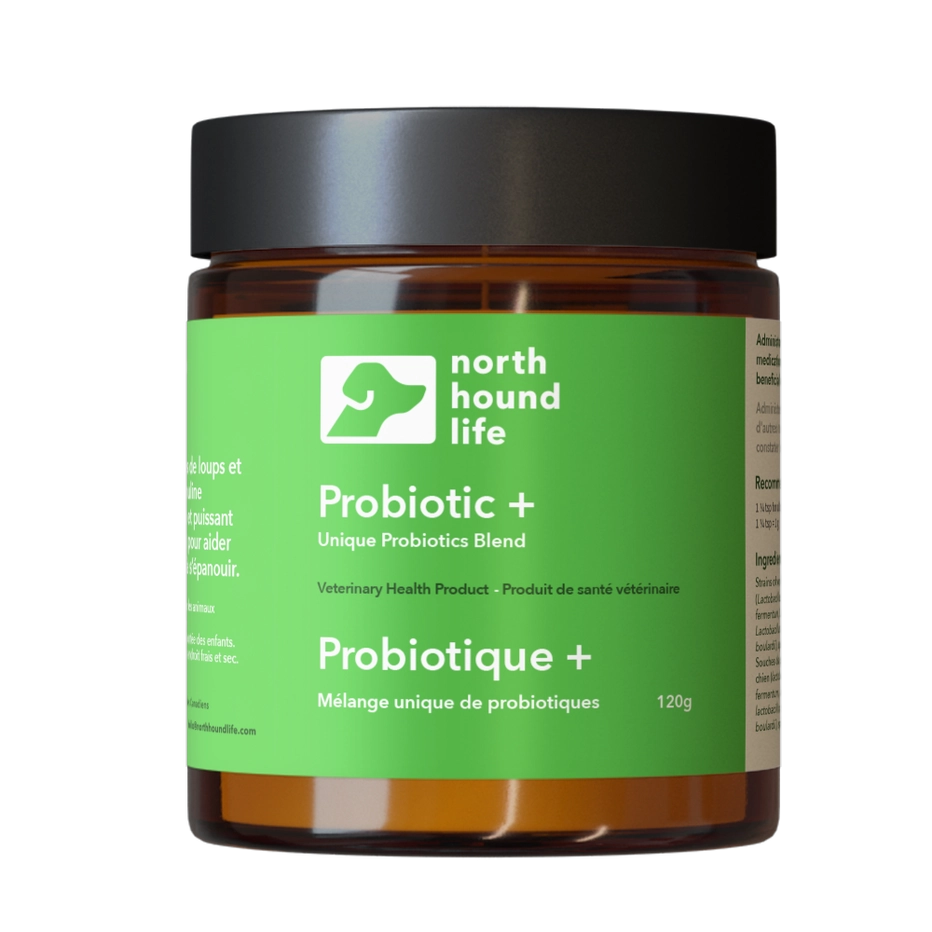Probiotic + | Supplements for Dogs