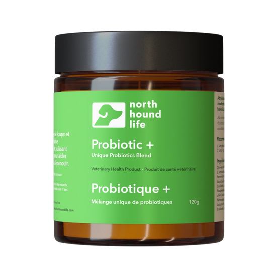 Probiotic + | Supplements for Dogs