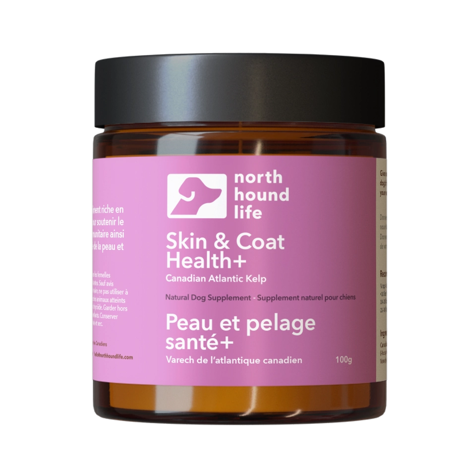 Skin & Coat Health | Supplements for Dogs