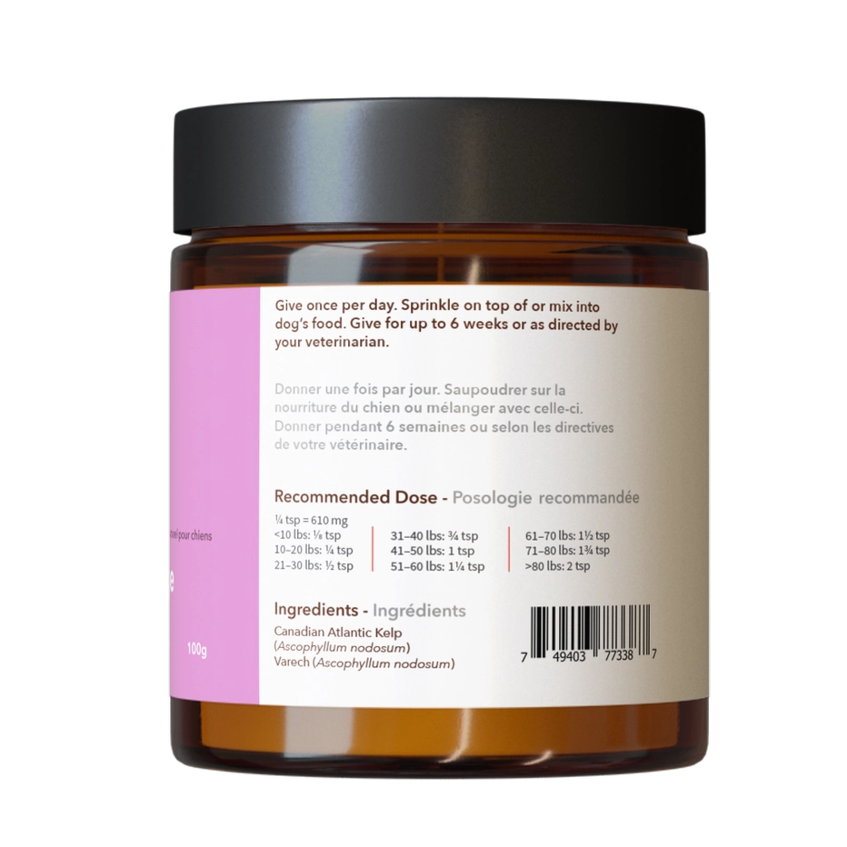 Skin & Coat Health | Supplements for Dogs