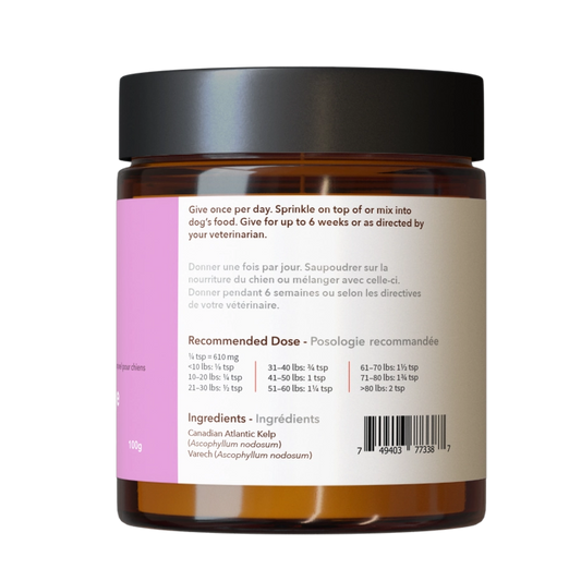 Skin & Coat Health | Supplements for Dogs