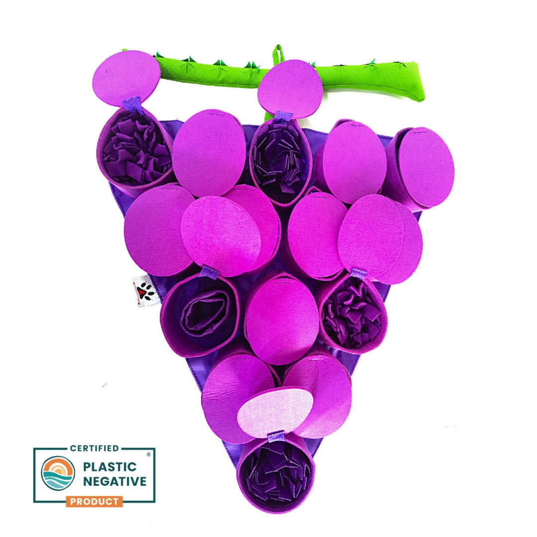 Forbidden Grapes ™ Snuffle Mat | Challenge Level 4