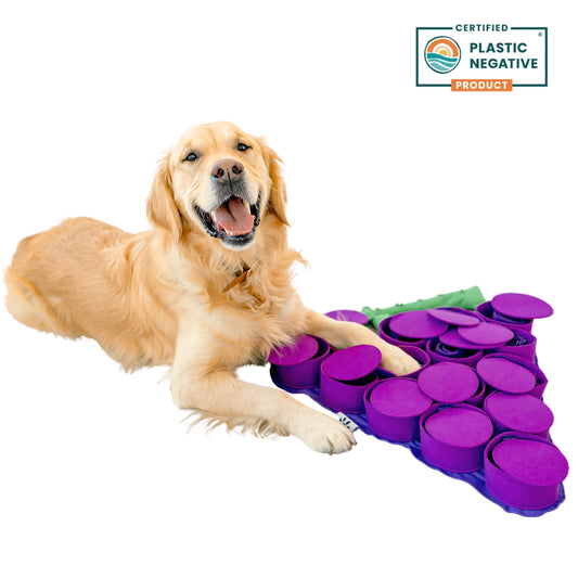 Forbidden Grapes ™ Snuffle Mat | Challenge Level 4