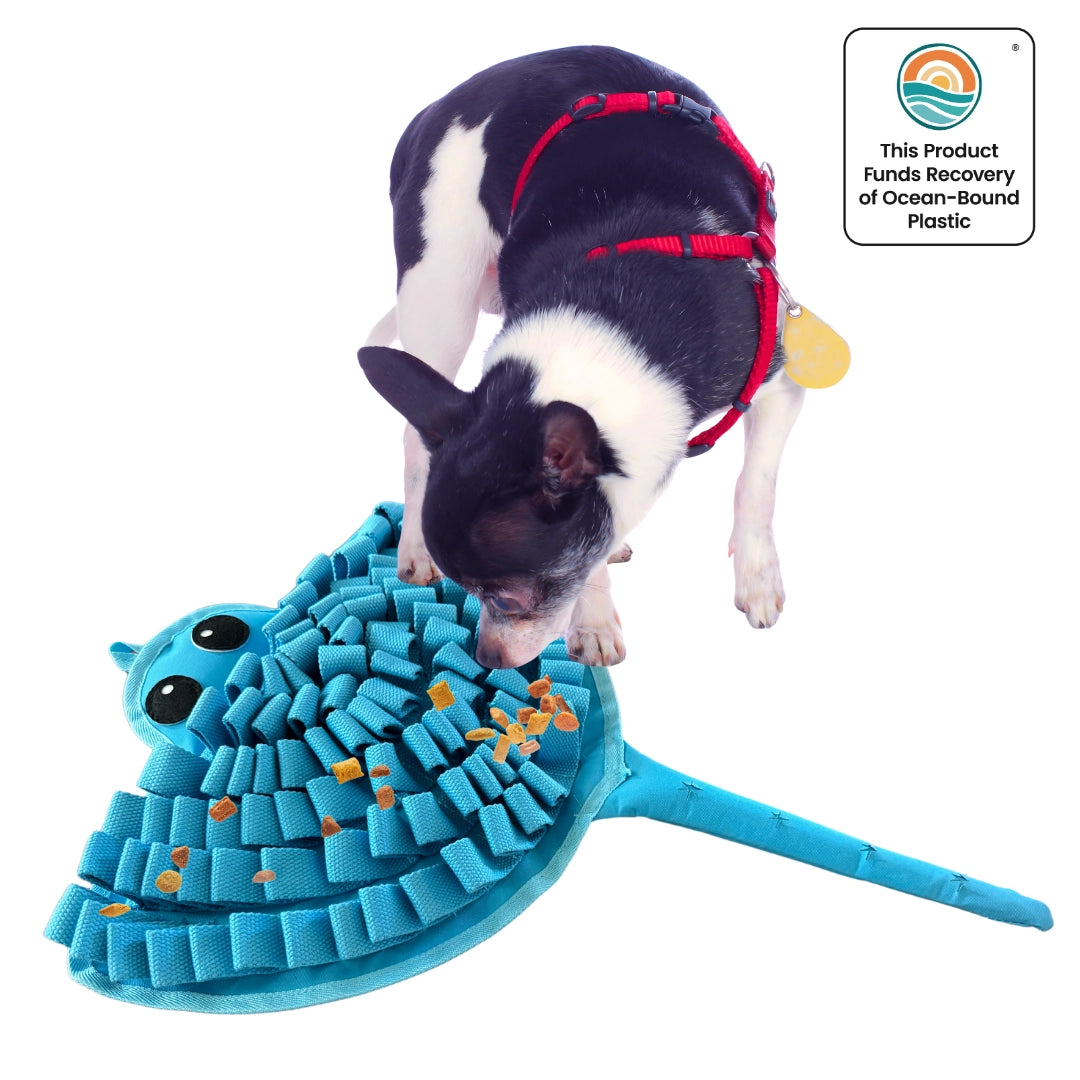 Sassy Stingray By Luvmyfido