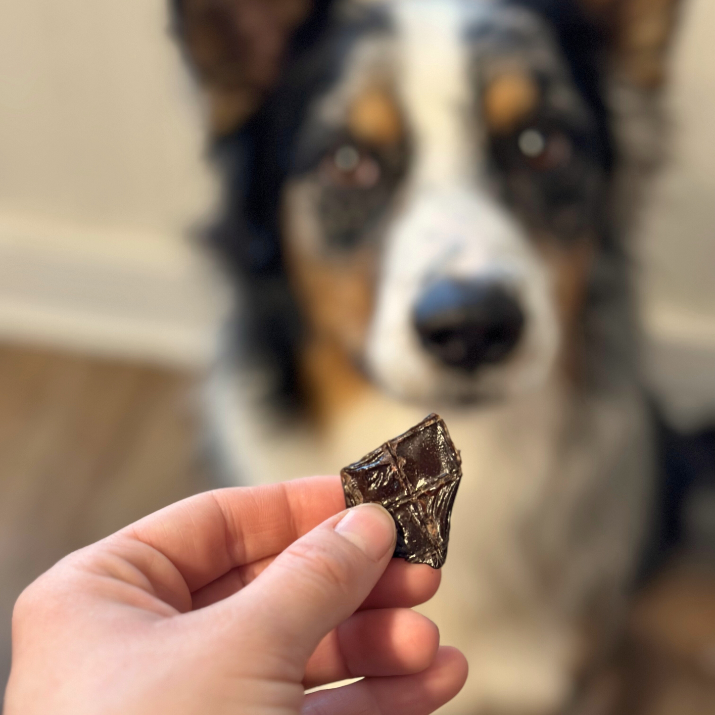 Beef Liver Treats for Dogs