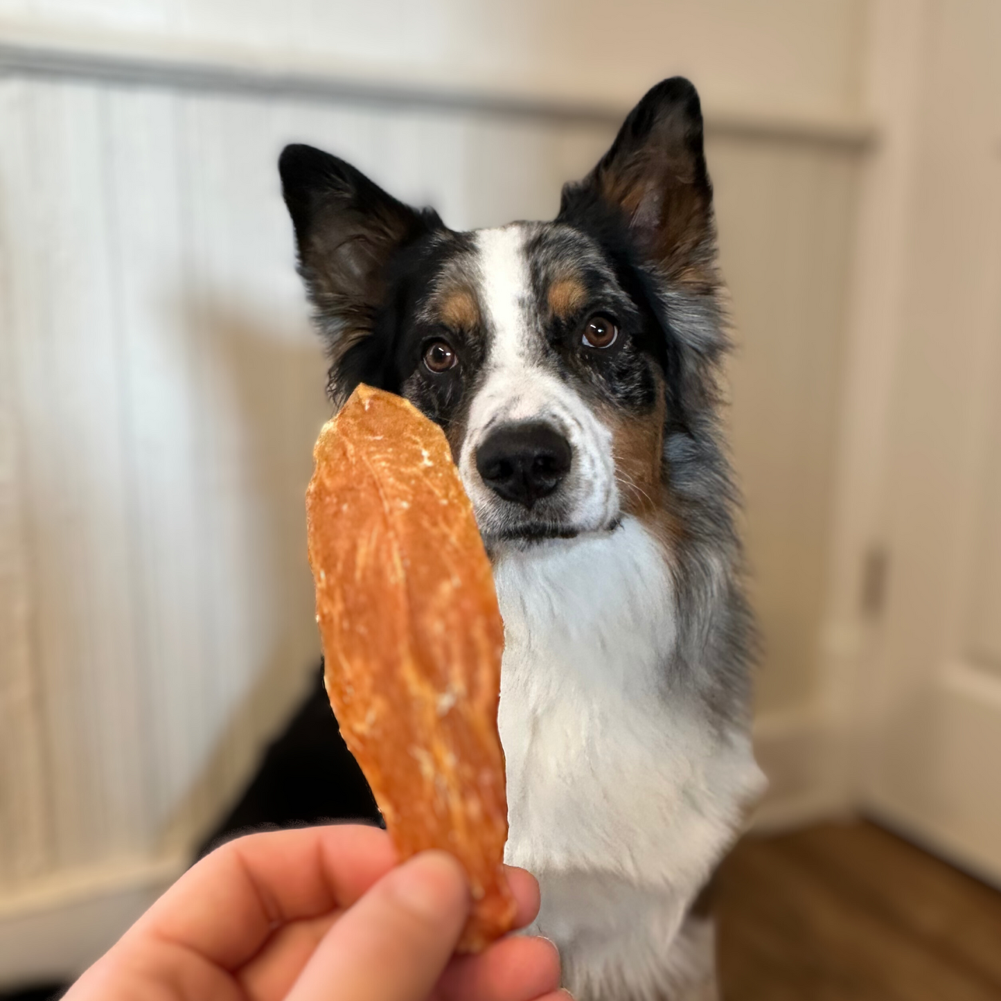 Chicken Jerky for Dogs