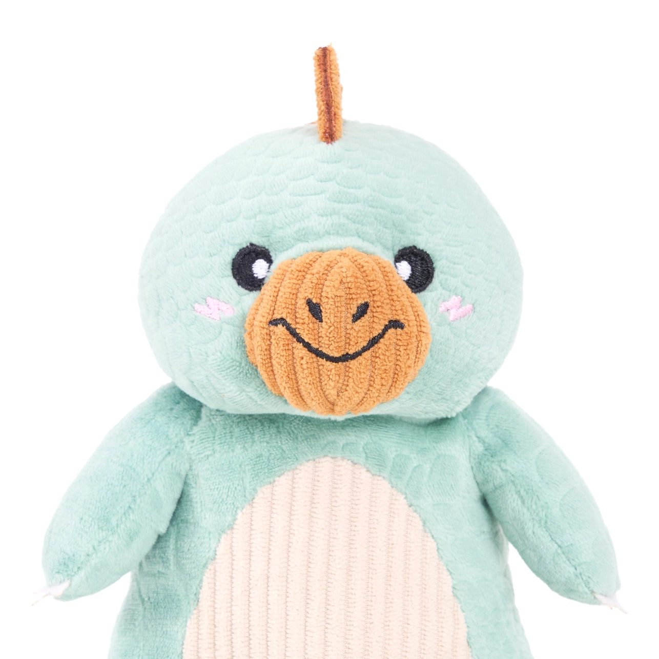 Ecozippy Dinoz | Stegosaurus