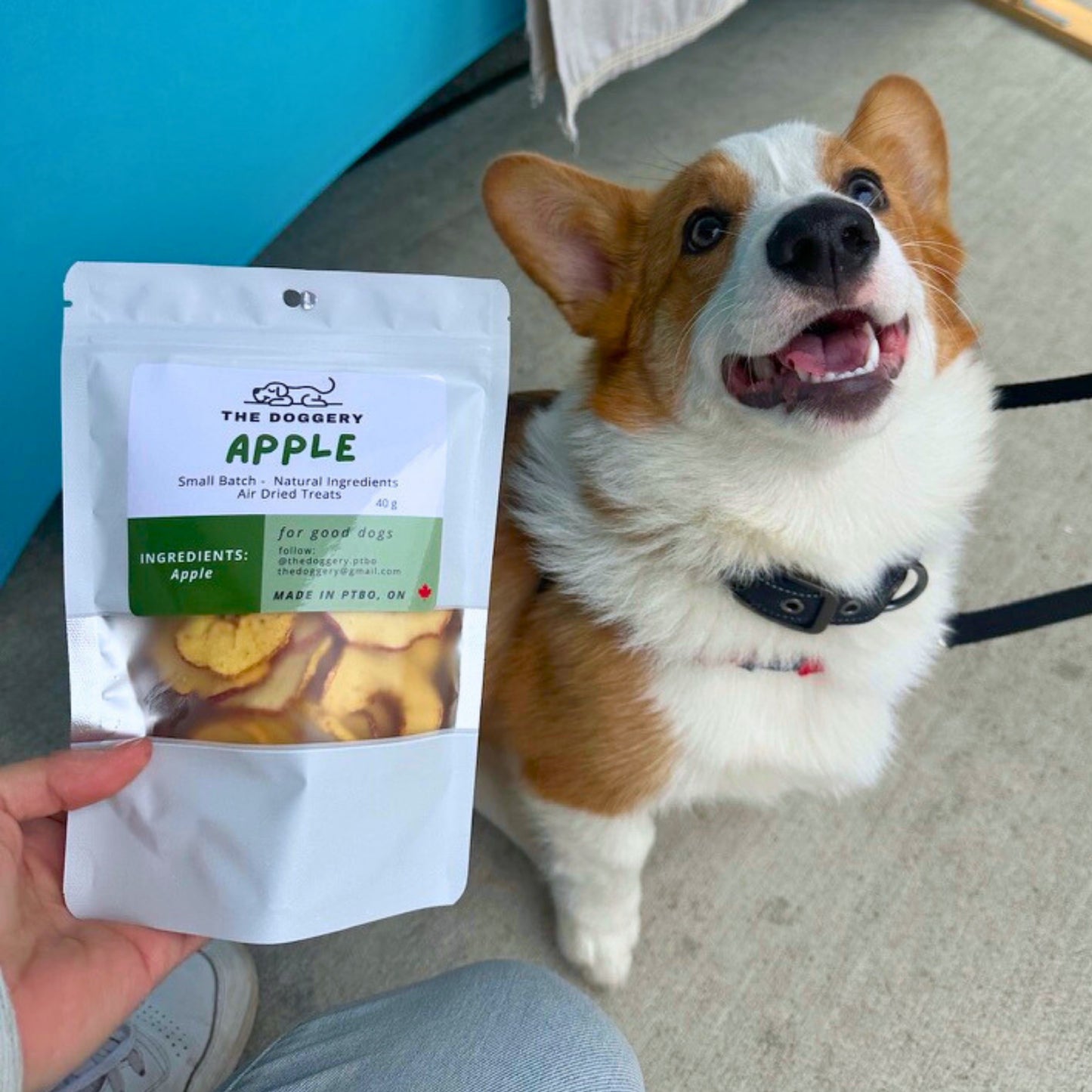 Apple Dog Treats