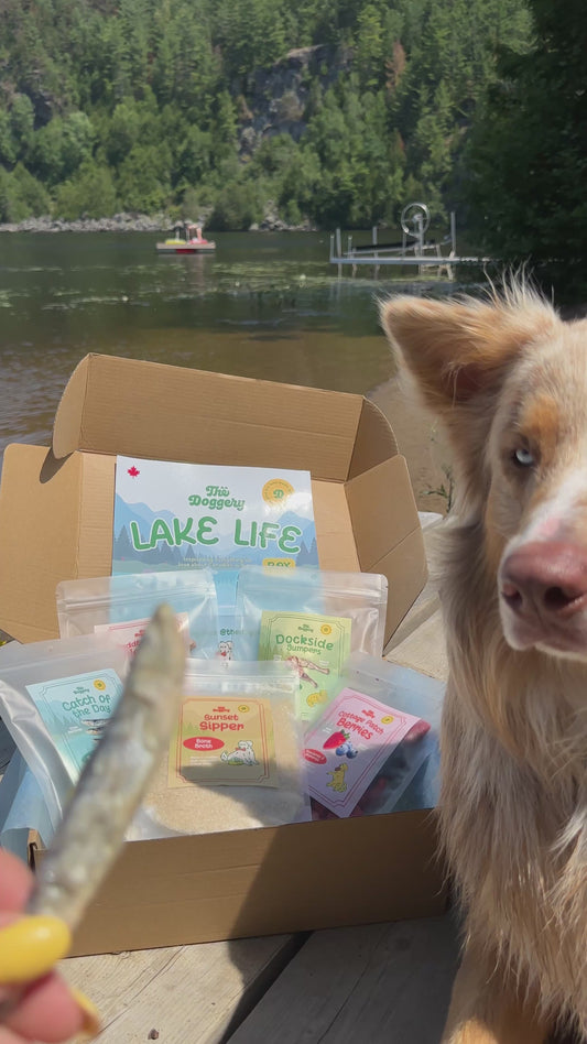 Limited Edition Lake Life Treat Box